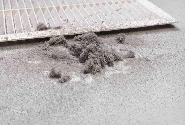Best Duct Cleaning for Offices  in Navy Yard City, WA