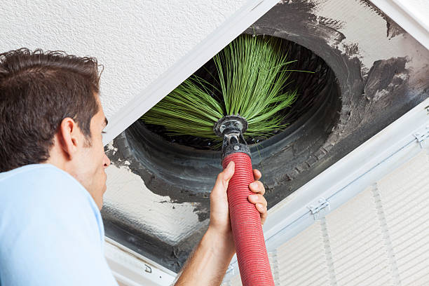 Best Duct Cleaning for Homes  in Navy Yard City, WA